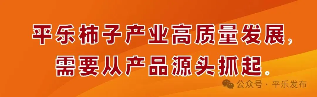 如何通过篮球训练和心理辅导提升自信_0